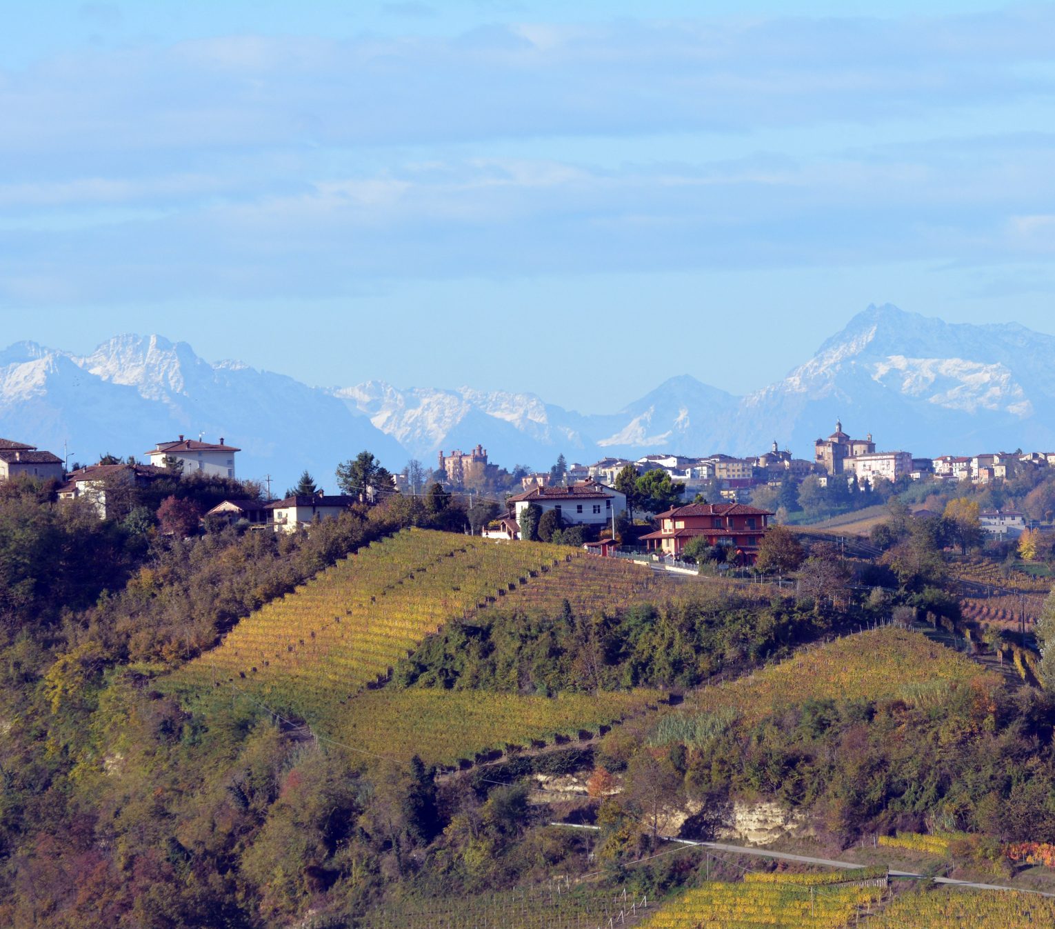 Vines Italy mountains wine Langhe